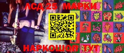мяу мяу мука Абакан